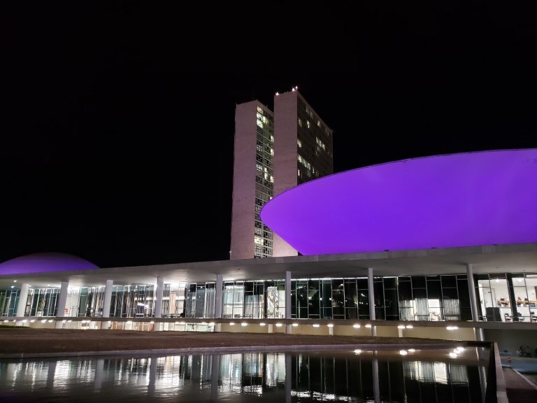 Iluminação especial para chamar atenção sobre campanhas importantes - (Foto: Pierre Triboli/Câmara dos Deputados)