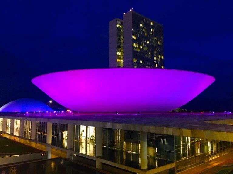 Cúpulas do Congresso iluminadas de roxo - (Foto: Divulgação/Câmara dos Deputados)