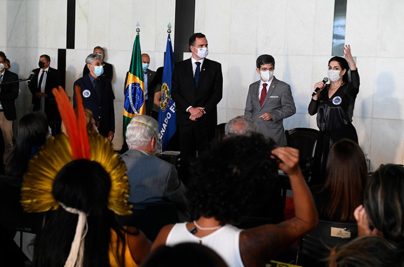 O documento foi lido pelo cantor e compositor Caetano Veloso - Marcos Oliveira/Agência Senado