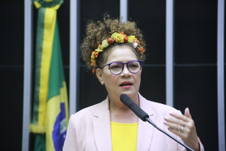 Perpétua: TSE restringe o tempo real de votação do povo acriano - (Foto: Paulo Sergio/Câmara dos Deputados)