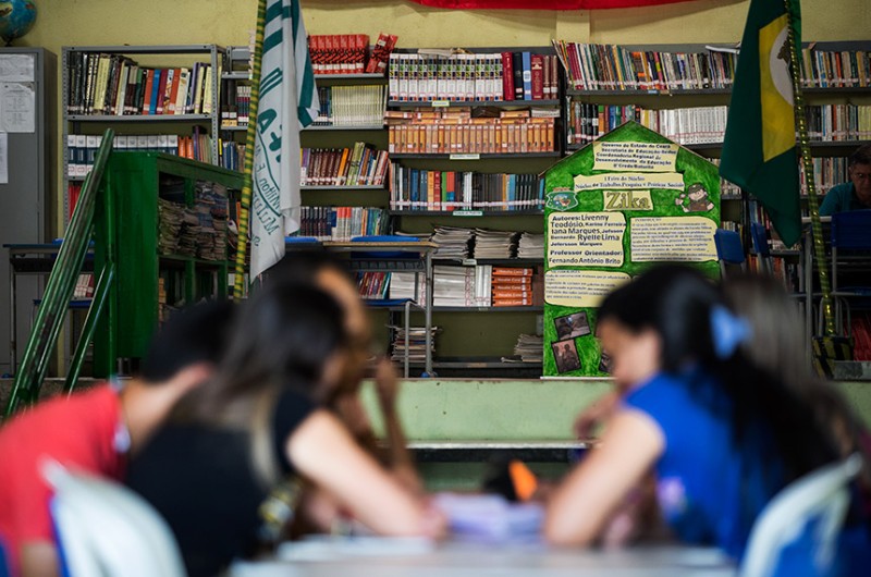 O projeto determina que as instituições de educação básica ou superior deverão oferecer o Estatuto da Juventude em meios impressos ou eletrônicos, inclusive em bibliotecas - Ubirajara Machado/MDS