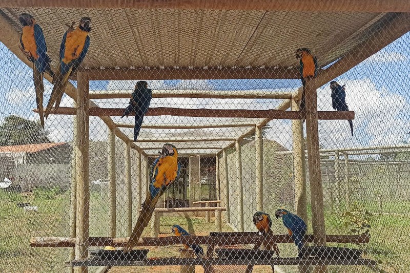 Foto: Instituto Brasília Ambiental
