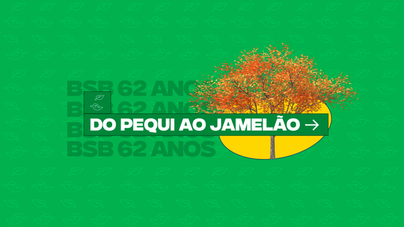 Renata Lu Rodrigues Franco